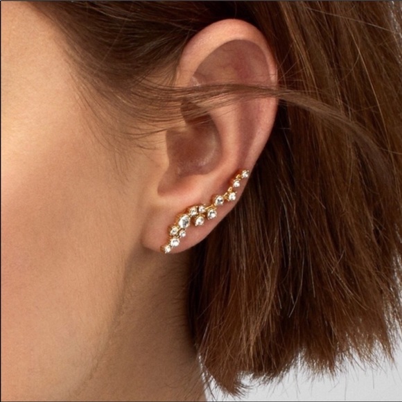 BaubleBar Jewelry - NEW! Baublebar earnings